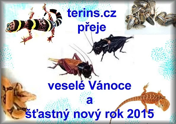 Krásné Vánoce